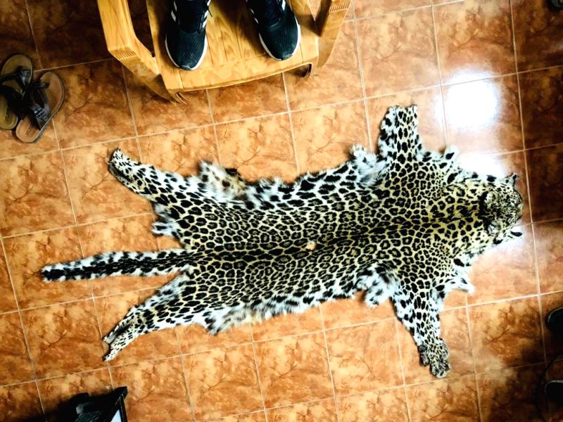 4 held in Delhi by DRI with 2 leopard skins
